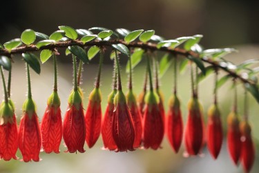 广州南沙区私人快速借钱网，轻松解决资金难题