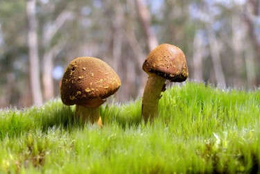 广州南沙区私人老板放款：轻松融资的秘密通道